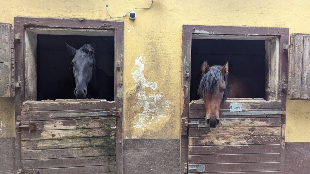 The Spanish Horses – Day 1 – 6:32min